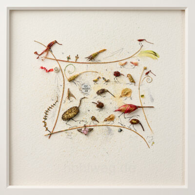 Detail der Assemblage „Der Nabel der Welt“ mit dem Fragment eines Bauchnabelpiercings zwischen Pflanzenresten.
