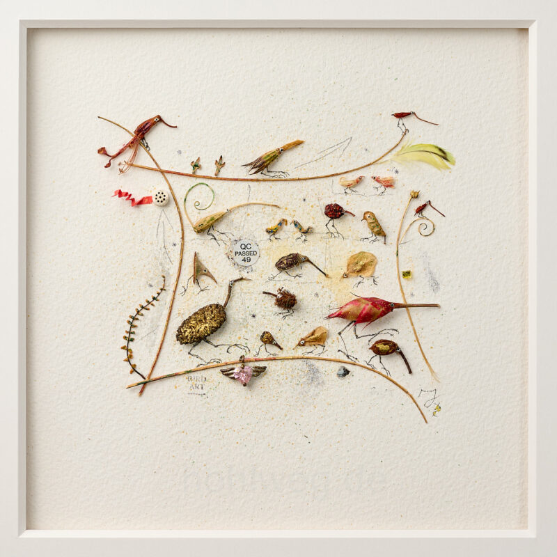 Detail of the assemblage “The Navel of the World,” featuring a fragment of a belly button piercing among plant remains.