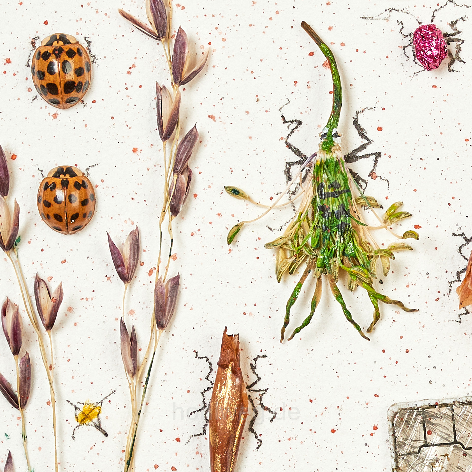 Detailansicht der Assemblage "Zwischen Himmel und Erde" mit Gräsern, die zu Insekten umgedeutet sind und mit Marienkäfern